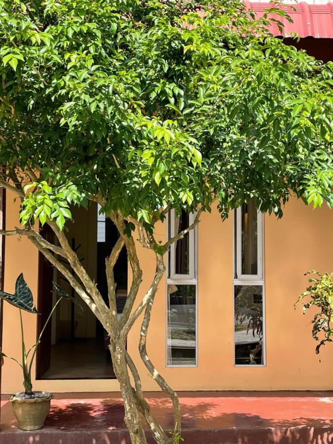 Menginap di pertanian Suksanti Coliving&vacation