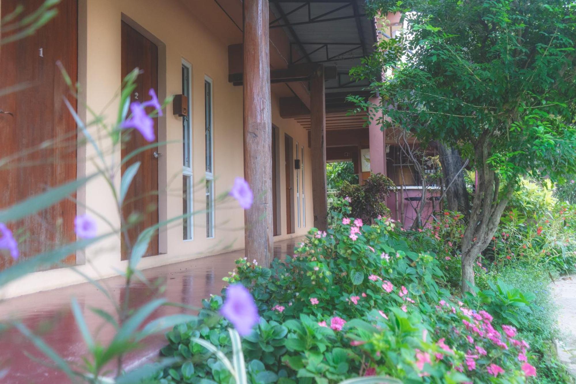 Menginap di pertanian Suksanti Coliving&vacation *